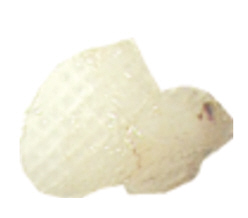 http://hzdaily.hangzhou.com.cn/dskb/media/1/3/2012-12/12/A08/res01_attpic_brief.jpg