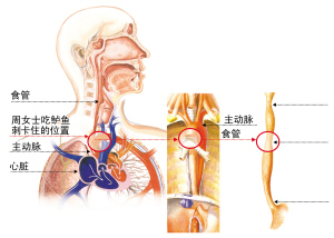 http://hzdaily.hangzhou.com.cn/dskb/media/1/3/2012-12/12/A08/res03_attpic_brief.jpg